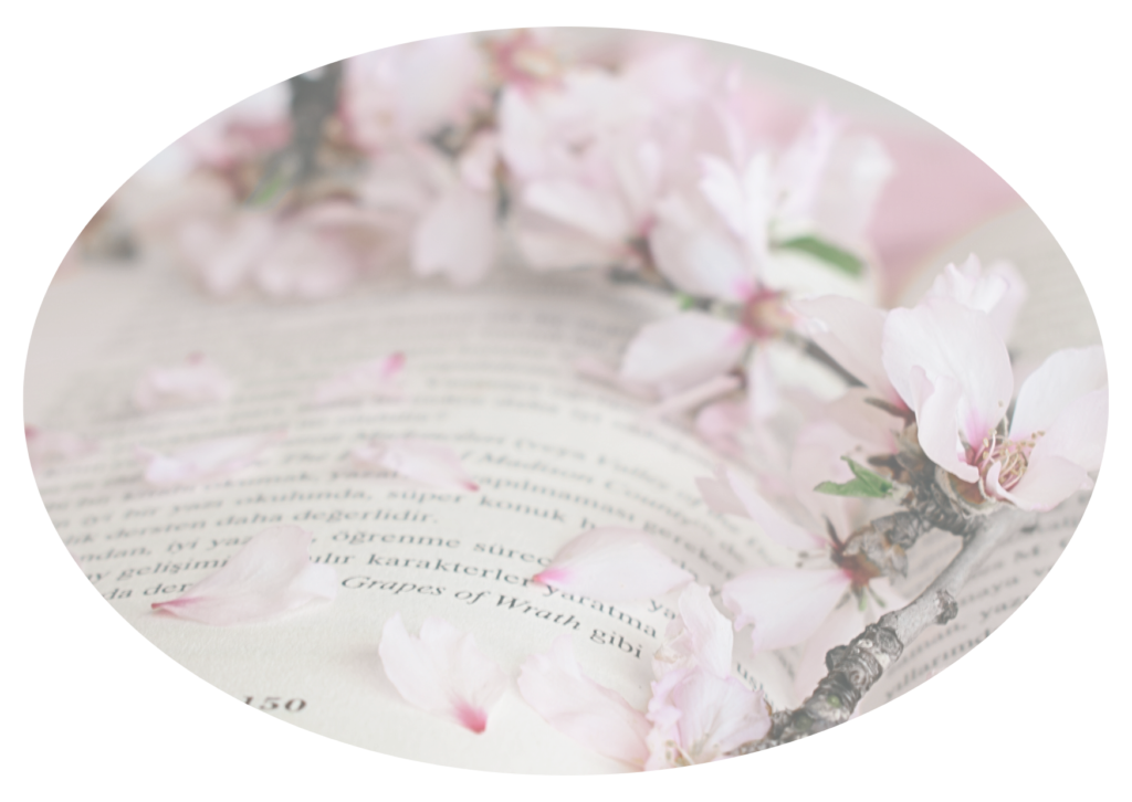 love room limoges pour escapade romantique