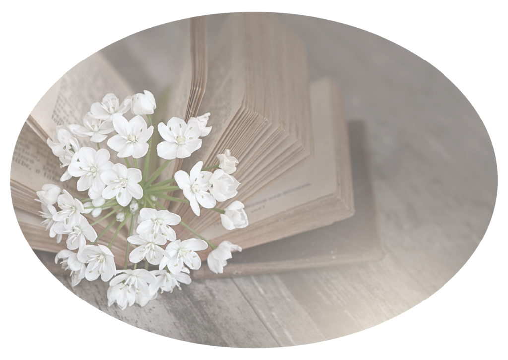 Spa privatif de luxe dans le gîte Les 3 Clefs de GaYa, incluant jacuzzi, lit hydromassant avec massages et sauna, pour un séjour bien-être unique et rare en Limousin.